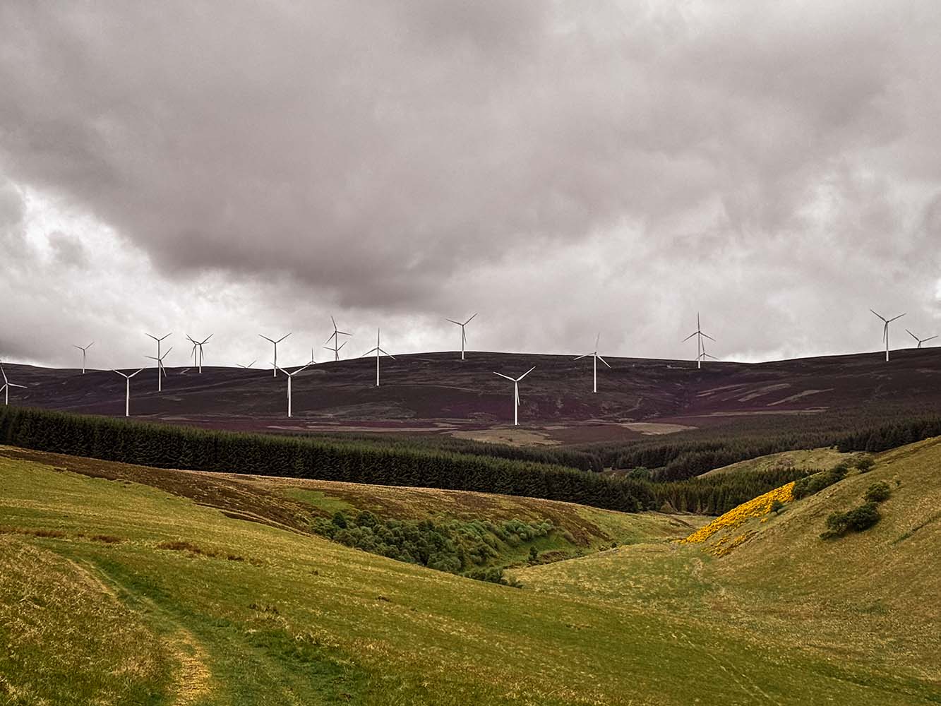Cabrach - wind turbines on green and brown mountainscape