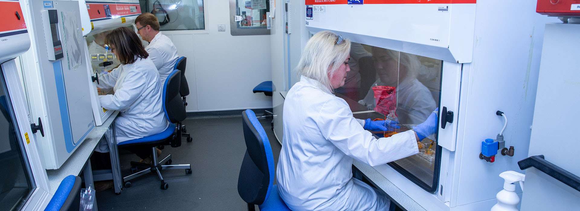 Cell Culture Lab