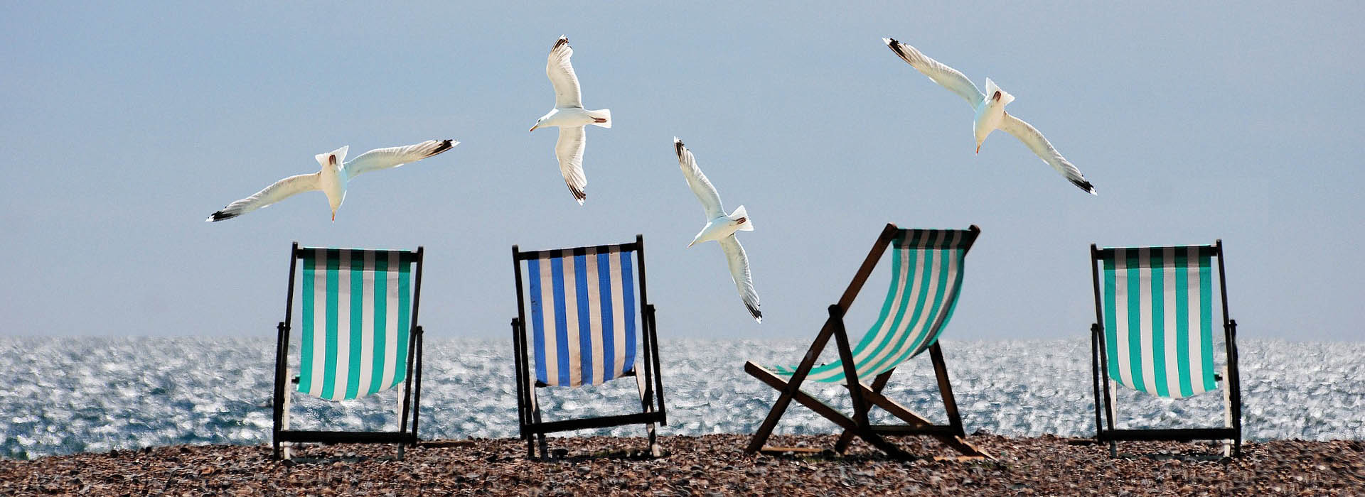 Seagulls and deck chairs on a beach