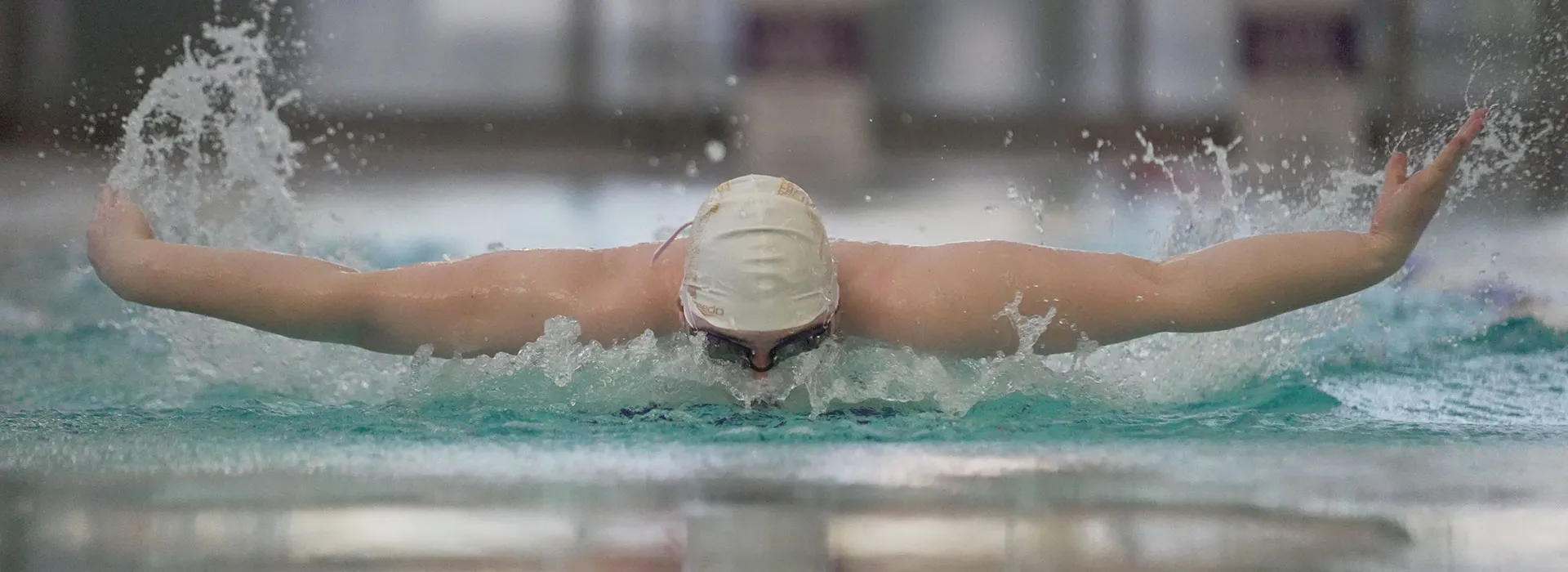 front view of person doing breast stroke in swimming pool