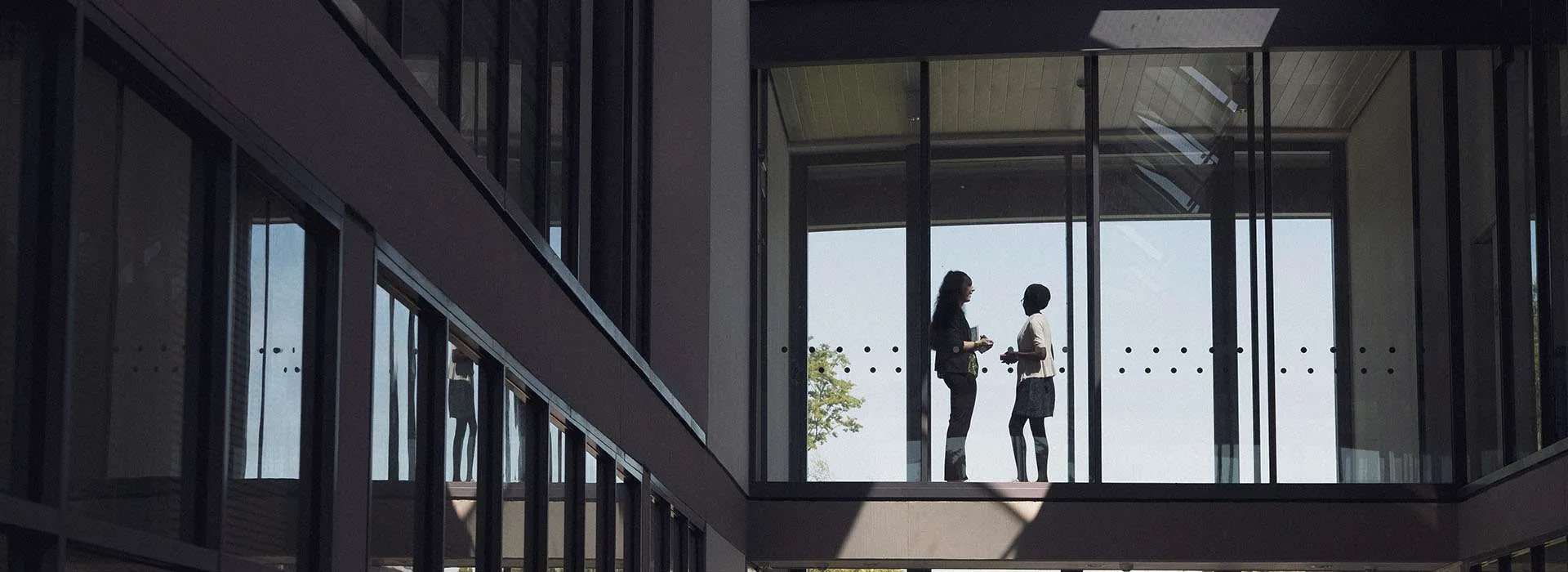 two students chatting on a walkway in front of a window