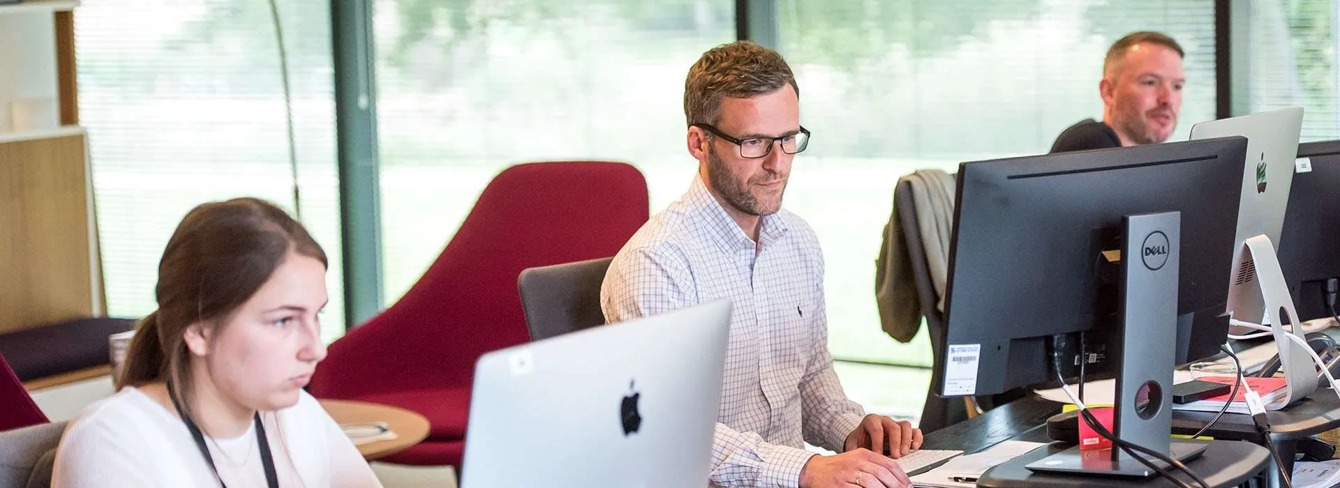 people sitting working at their desks