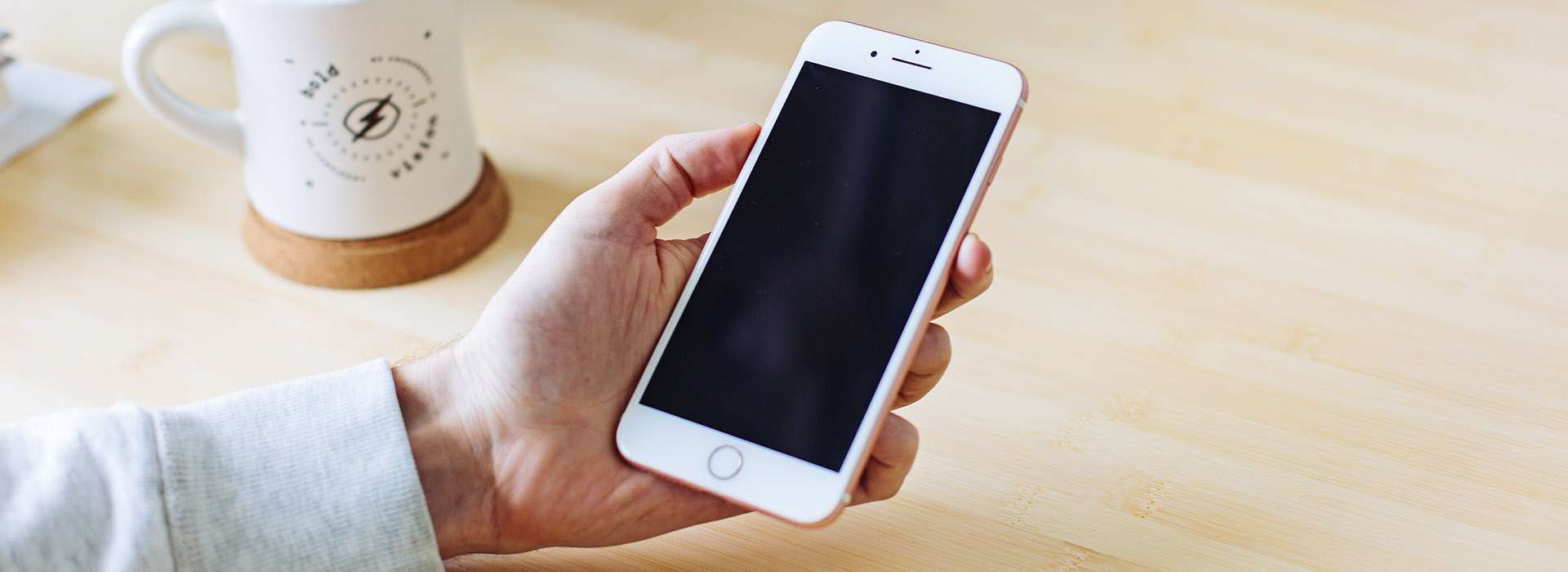 person holding a mobile phone