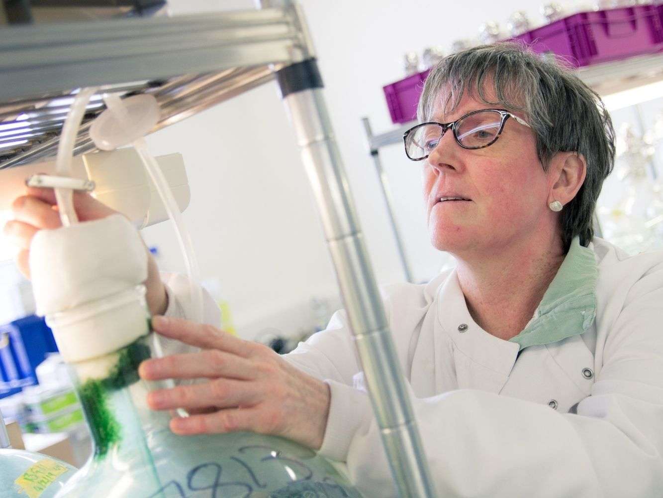 Professor Linda Lawton from RGU