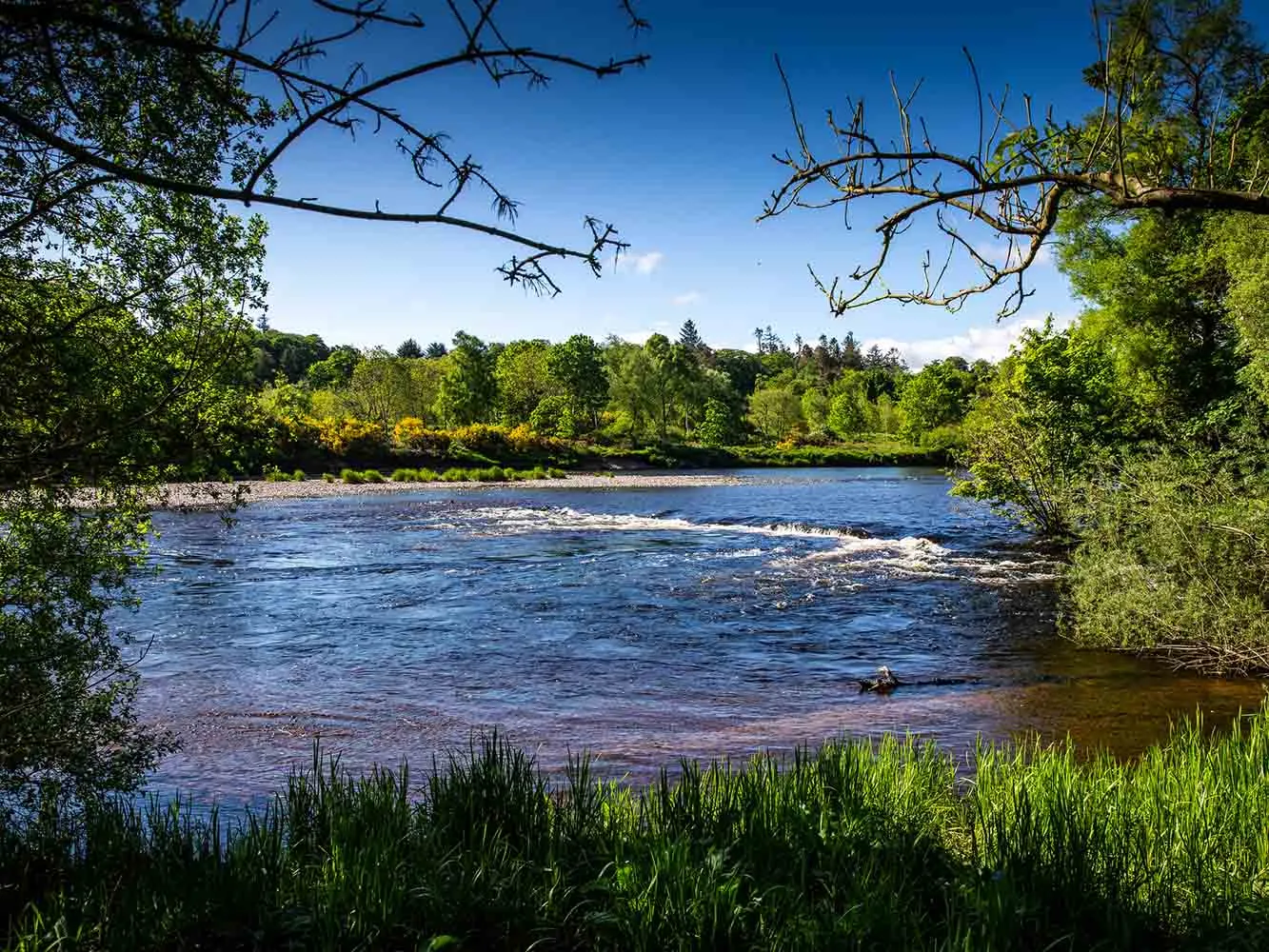 The River Dee beside campus