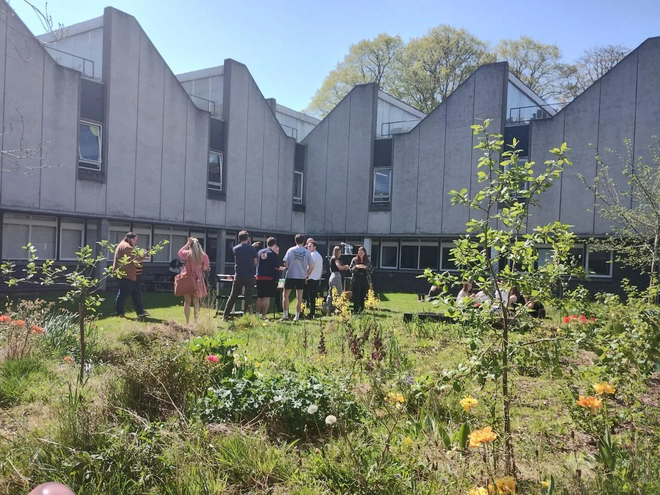 Garden in the Quad with growing plants and staff and students gathered around picnic tables