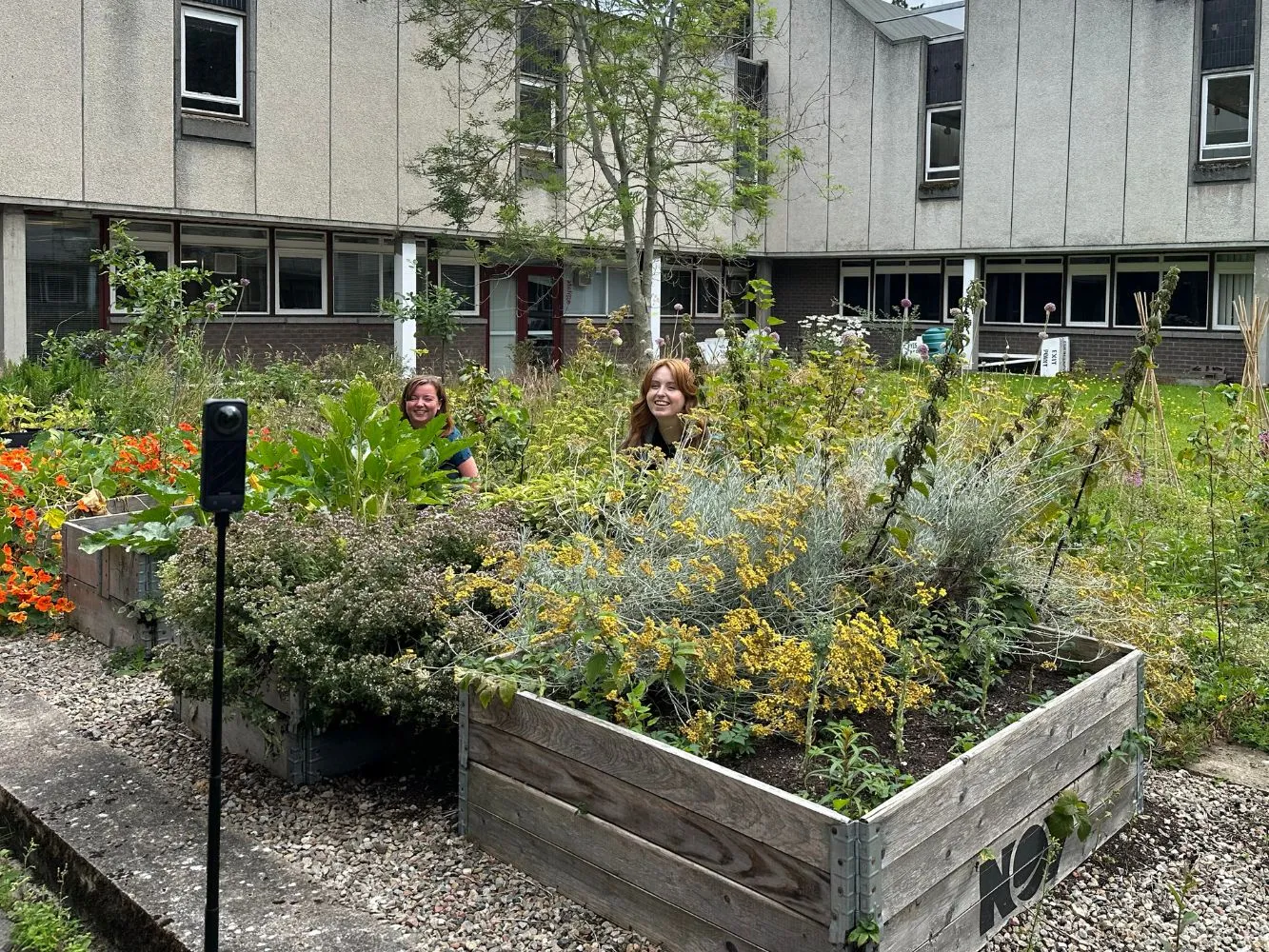 Senior Web Developer Jo Fleet and Web Editorial & Content Assistant Roisin Fowlie hiding behind bushes in the Garden in the Quad