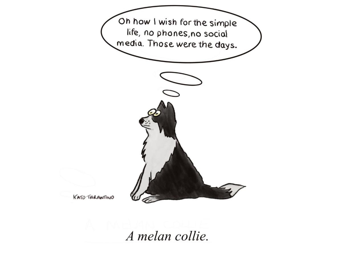 A melan collie - a comedic cartoon depicting a melancholy dog