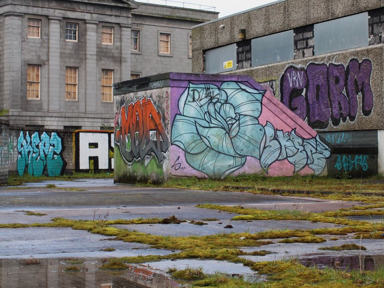 The current Upper Denburn Gardens scene shows overgrown plants, graffiti and uncared for concrete