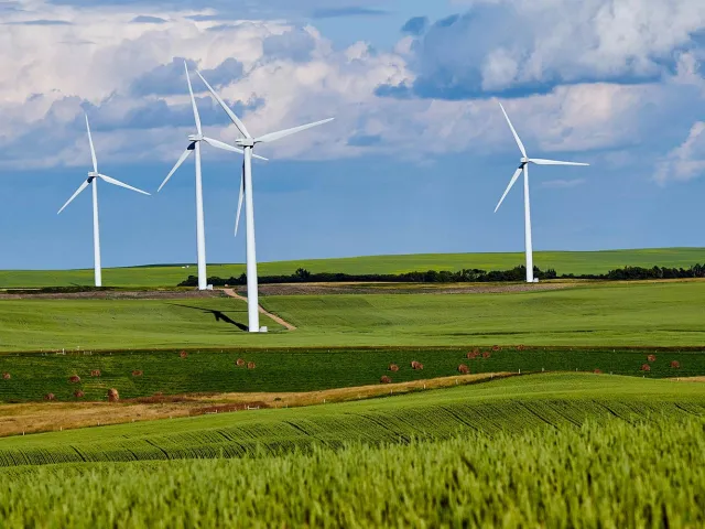 wind turbines in a field