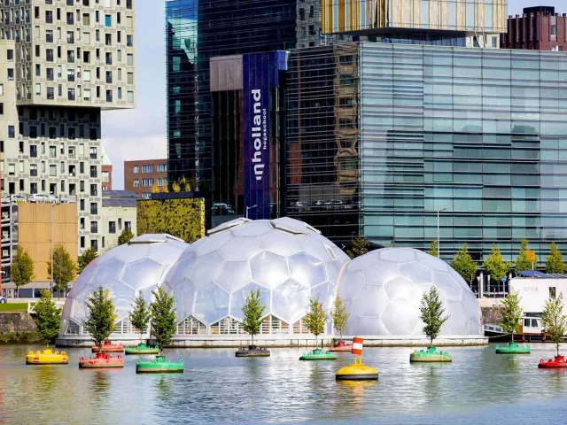 INHolland University of Applied Sciences