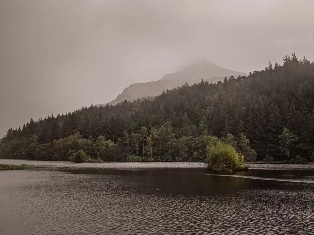 Mountainscape behind trees