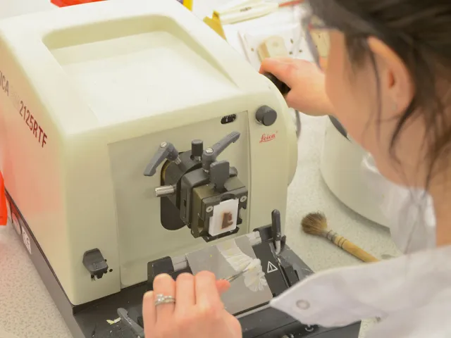 a student using a microtome