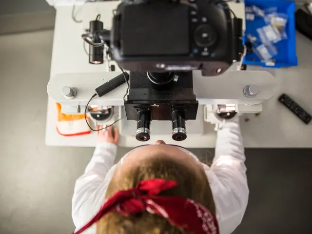 Person looking through a microscope