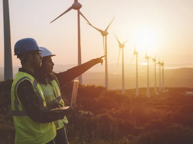 people in high vis looking at wind turbines