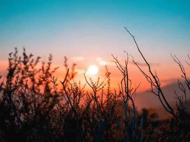 Partnering with Indigenous students and communities