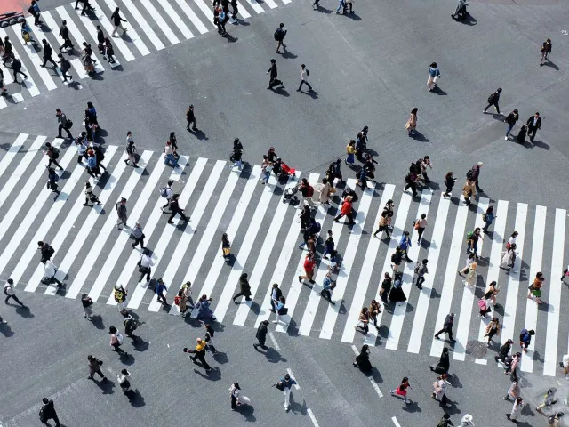 aerial photo of a pedestrian crossing