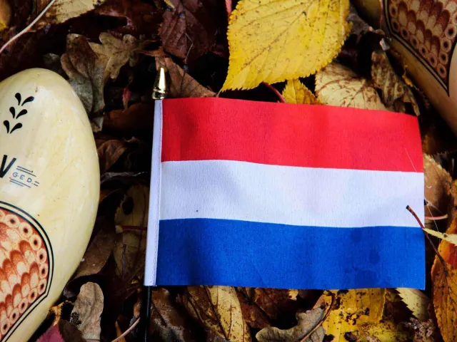 netherlands flag next to a clog