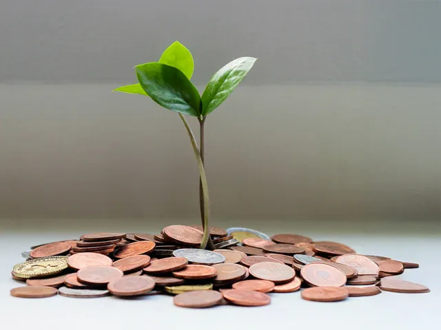 a sprig of a plant emerging from a pile of coins