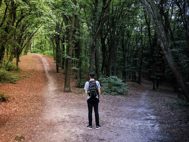 Person wearing a backpack in the woods with two paths ahead