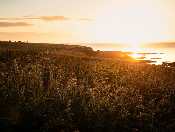 Sanday at Sunrise