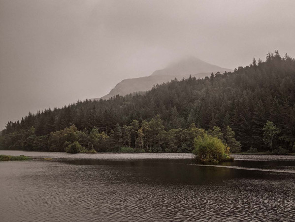 Mountainscape behind trees