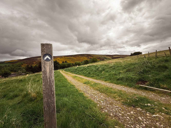 Outdoor walk area in field